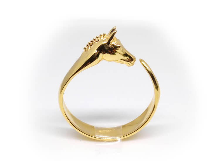 horse ring